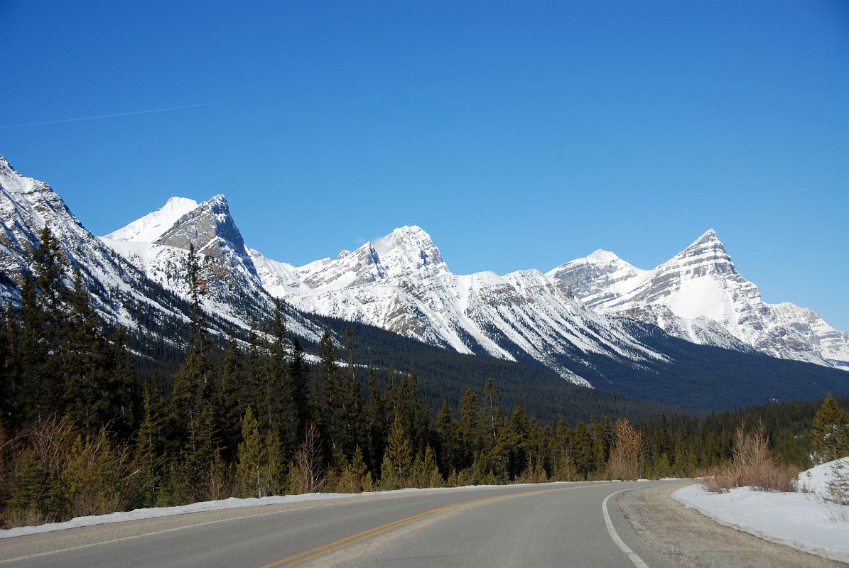 05 Aries Peak, Midway Peak, Howse Peak, White Pyramid and Mount Chephren From Icefields Parkway